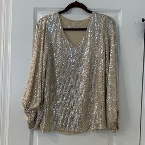Vine & Love Shimmering Sequin Blouse